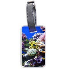 CORAL OUTCROP 1 Luggage Tags (One Side) 