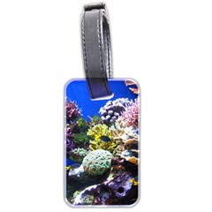 CORAL OUTCROP 1 Luggage Tags (Two Sides)