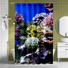 Coral Outcrop 1 Shower Curtain 48  X 72  (small) 