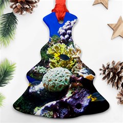 CORAL OUTCROP 1 Ornament (Christmas Tree)