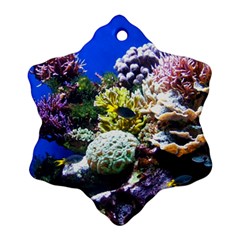 CORAL OUTCROP 1 Snowflake Ornament (2-Side)