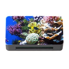 CORAL OUTCROP 1 Memory Card Reader with CF