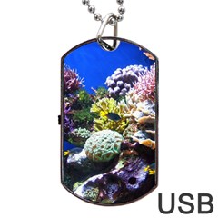 Coral Outcrop 1 Dog Tag Usb Flash (one Side)