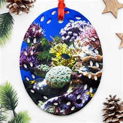 CORAL OUTCROP 1 Ornament (Oval Filigree) 