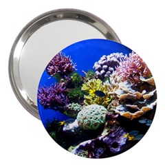 CORAL OUTCROP 1 3  Handbag Mirrors