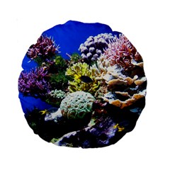 CORAL OUTCROP 1 Standard 15  Premium Round Cushions