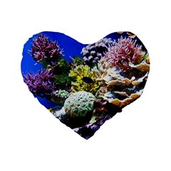 CORAL OUTCROP 1 Standard 16  Premium Heart Shape Cushions