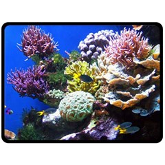 Coral Outcrop 1 Double Sided Fleece Blanket (large) 