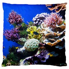 Coral Outcrop 1 Standard Flano Cushion Cases (two Sides)  by trendistuff