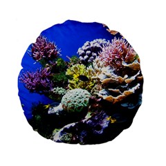 CORAL OUTCROP 1 Standard 15  Premium Flano Round Cushions