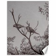 Couple Of Parrots In The Top Of A Tree Canvas 12  X 16   by dflcprints