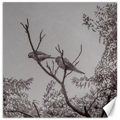 Couple Of Parrots In The Top Of A Tree Canvas 16  X 16   by dflcprints