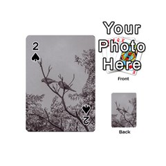 Couple Of Parrots In The Top Of A Tree Playing Cards 54 (mini)  by dflcprints