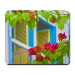 Colored Flowers In Front Ot Windows House Print Large Mousepads by dflcprints