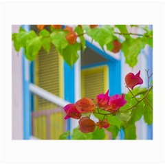 Colored Flowers In Front Ot Windows House Print Small Glasses Cloth by dflcprints