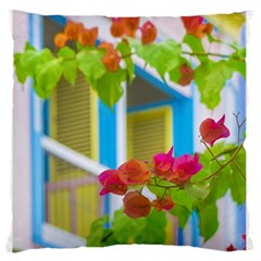 Colored Flowers In Front Ot Windows House Print Large Flano Cushion Cases (two Sides)  by dflcprints