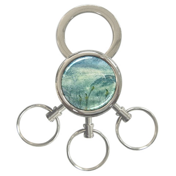 Nature Photo Collage 3-Ring Key Chains