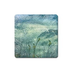 Nature Photo Collage Square Magnet by dflcprints