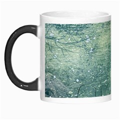 Nature Photo Collage Morph Mugs by dflcprints