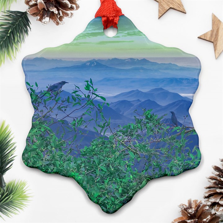 Fantasy Landscape Photo Collage Ornament (Snowflake) 