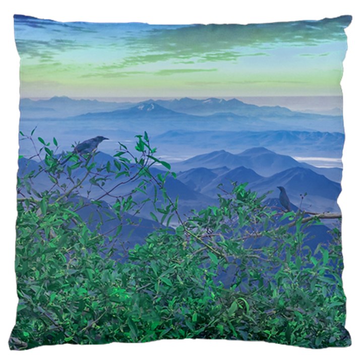 Fantasy Landscape Photo Collage Large Flano Cushion Cases (One Side) 