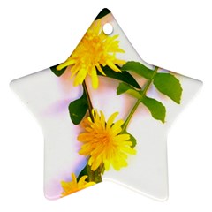 Margaritas Bighop Design Ornament (star)  by bighop