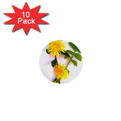 Margaritas Bighop Design 1  Mini Buttons (10 Pack)  by bighop