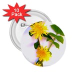 Margaritas Bighop Design 2.25  Buttons (10 pack)  Front