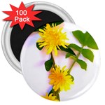 Margaritas Bighop Design 3  Magnets (100 pack) Front