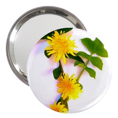 Margaritas Bighop Design 3  Handbag Mirrors