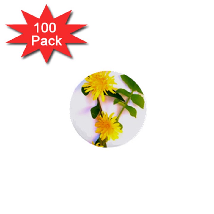 Margaritas Bighop Design 1  Mini Buttons (100 pack) 