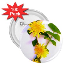 Margaritas Bighop Design 2 25  Buttons (100 Pack) 