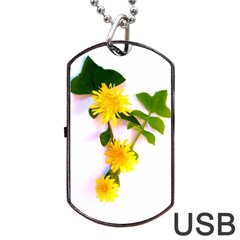 Margaritas Bighop Design Dog Tag Usb Flash (one Side)