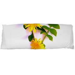 Margaritas Bighop Design Body Pillow Case (dakimakura)