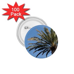 Tropical Palm Tree  1 75  Buttons (100 Pack) 