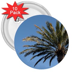 Tropical Palm Tree  3  Buttons (10 Pack)  by BrightVibesDesign