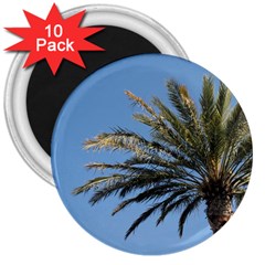 Tropical Palm Tree  3  Magnets (10 Pack)  by BrightVibesDesign