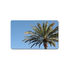 Tropical Palm Tree  Magnet (name Card) by BrightVibesDesign