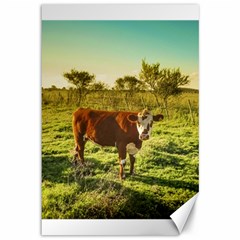 Cow In The Field Watching The Camera Canvas 12  X 18   by dflcprints