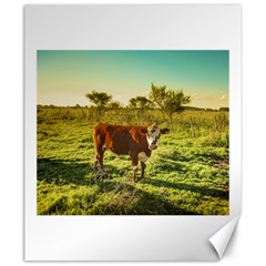 Cow In The Field Watching The Camera Canvas 20  X 24   by dflcprints