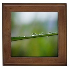 After The Rain Framed Tiles by LauraNATURE