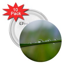 After the rain 2.25  Buttons (10 pack) 