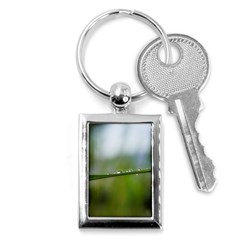 After The Rain Key Chains (rectangle) 