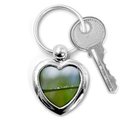 After the rain Key Chains (Heart) 