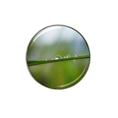 After the rain Hat Clip Ball Marker (4 pack)