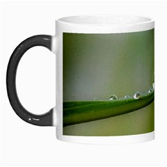 After the rain Morph Mugs