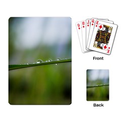 After the rain Playing Card