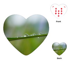 After the rain Playing Cards (Heart) 