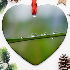 After the rain Heart Ornament (2 Sides)