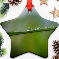 After the rain Star Ornament (Two Sides) 